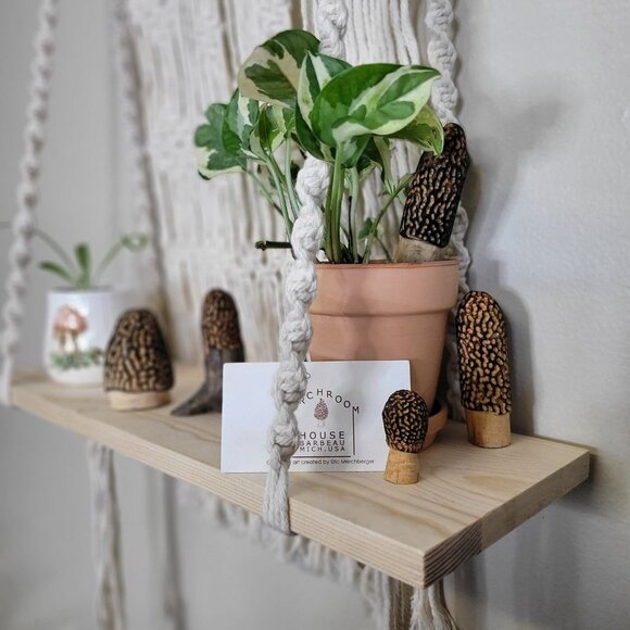 Mixed set of Carved Morel Merchrooms Variety Pack Plant Stake Decor Mushroom - Picture 10 of 11